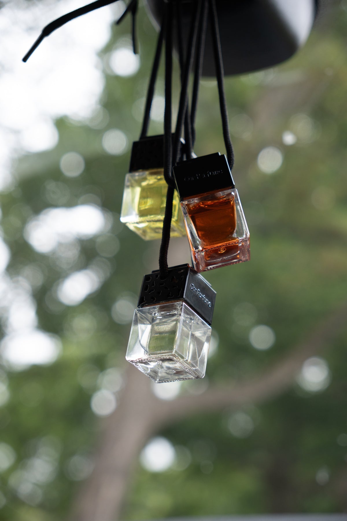 Elijah’s Perfume Lab: Where Fragrance Meets Discovery